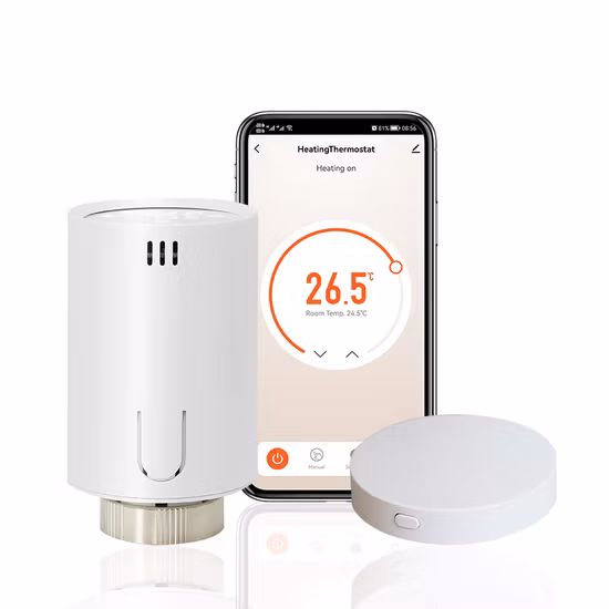 Room Thermostat (TR